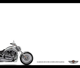 Harley